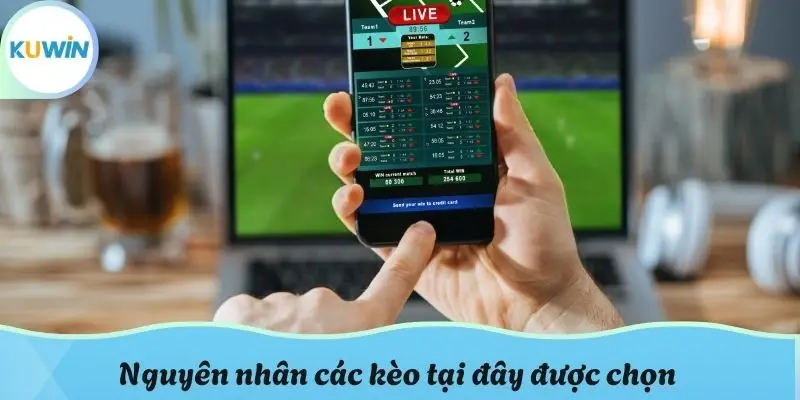 Nguyên nhân các kèo tại đây được chọn
