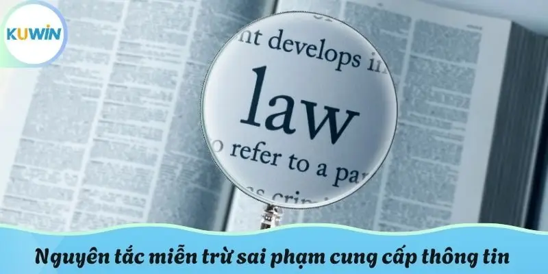 Nguyên tắc miễn trừ sai phạm cung cấp thông tin