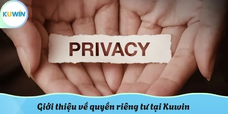 Giới thiệu về quyền riêng tư tại Kuwin
