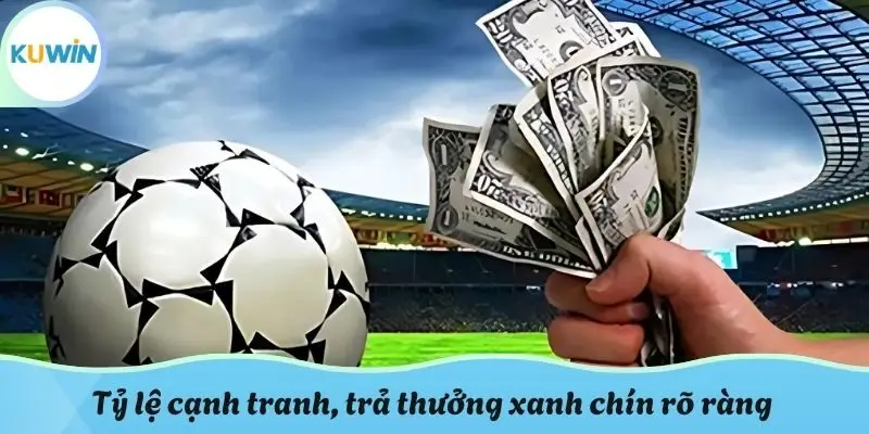 Tỷ lệ cạnh tranh, trả thưởng xanh chín rõ ràng