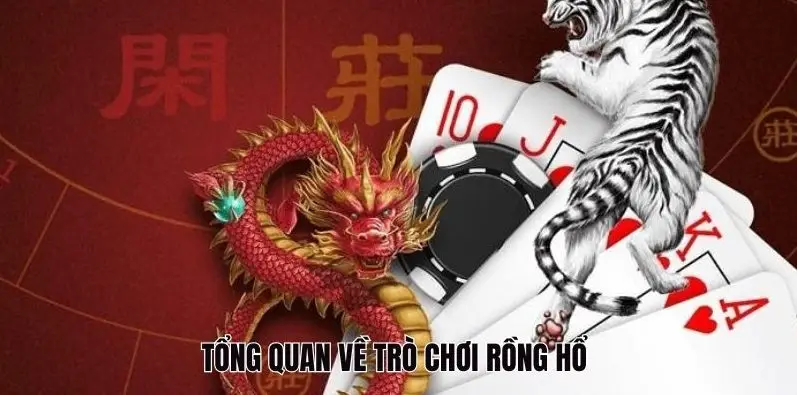 Tổng quan về Rồng Hổ tại Kuwin